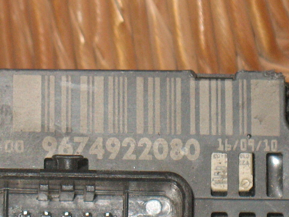 CITROEN PEUGEOT DELPHI 9674922080 BSM Z04-00 HW209 SW8E