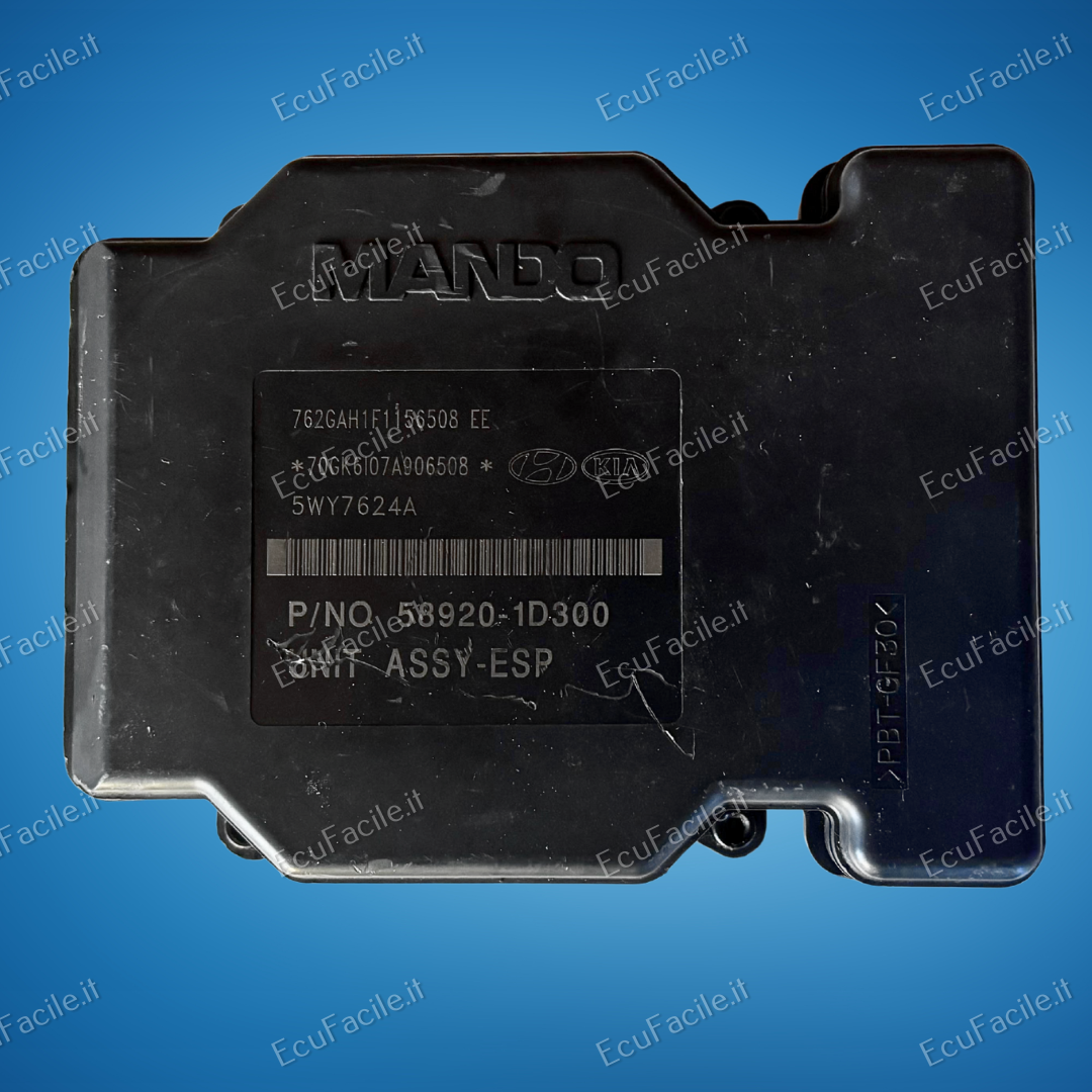 CENTRALINA ABS KIA Carens 2° Serie 5WY7624A Diesel 2000