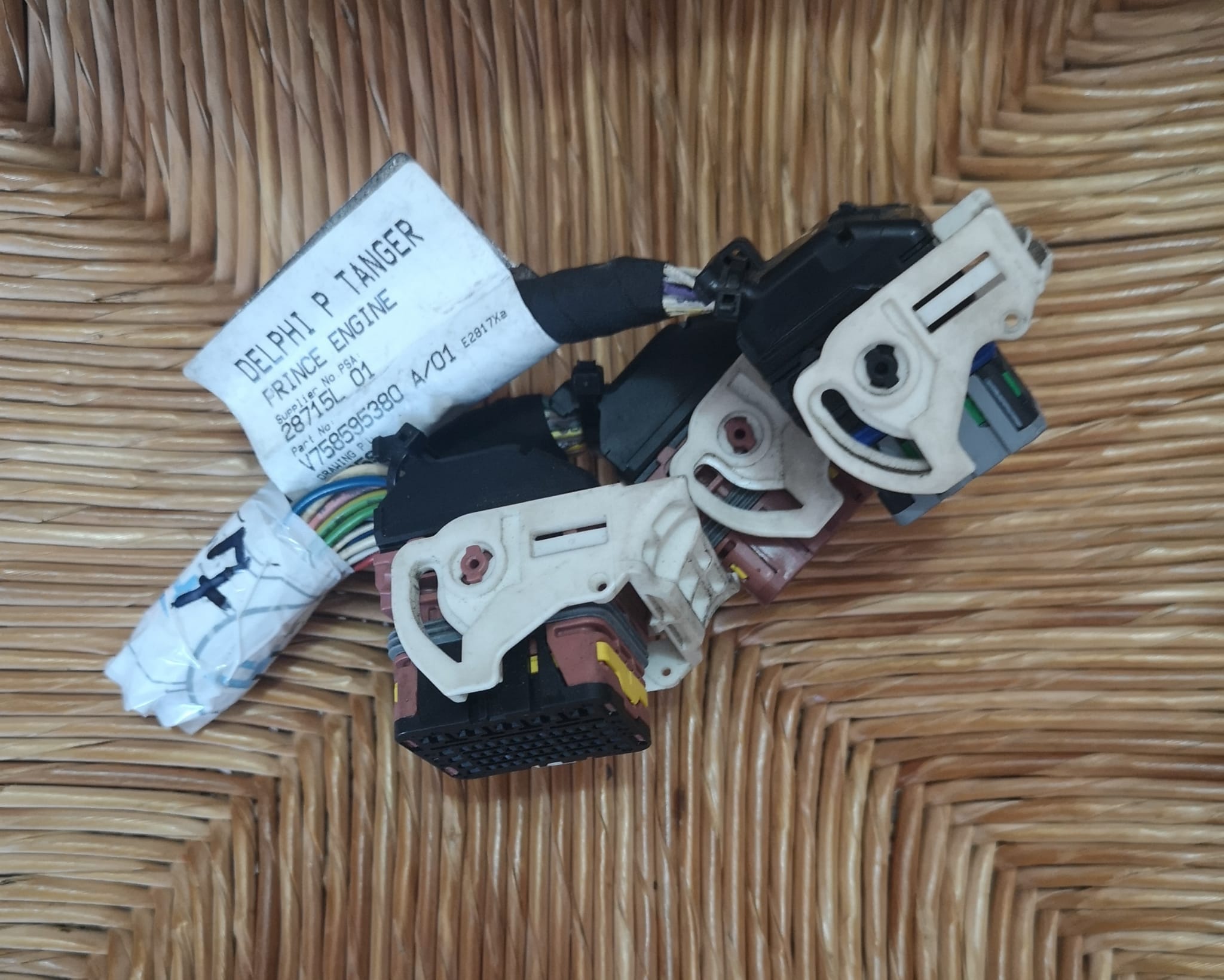 Spinotti Delphi p tanger V758595380 7585958