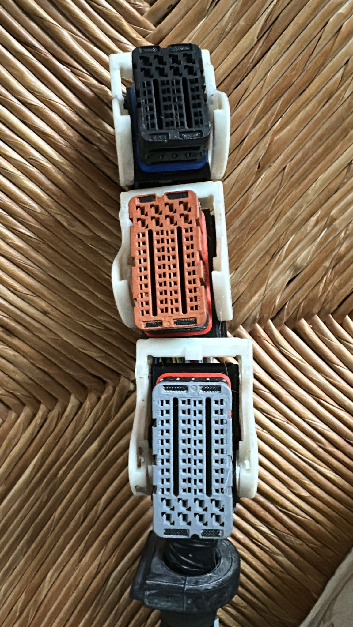 SPINOTTI / CONNETTORI PER COMPUTER MK4 1.8 2.0 TDCI ford MONDEO